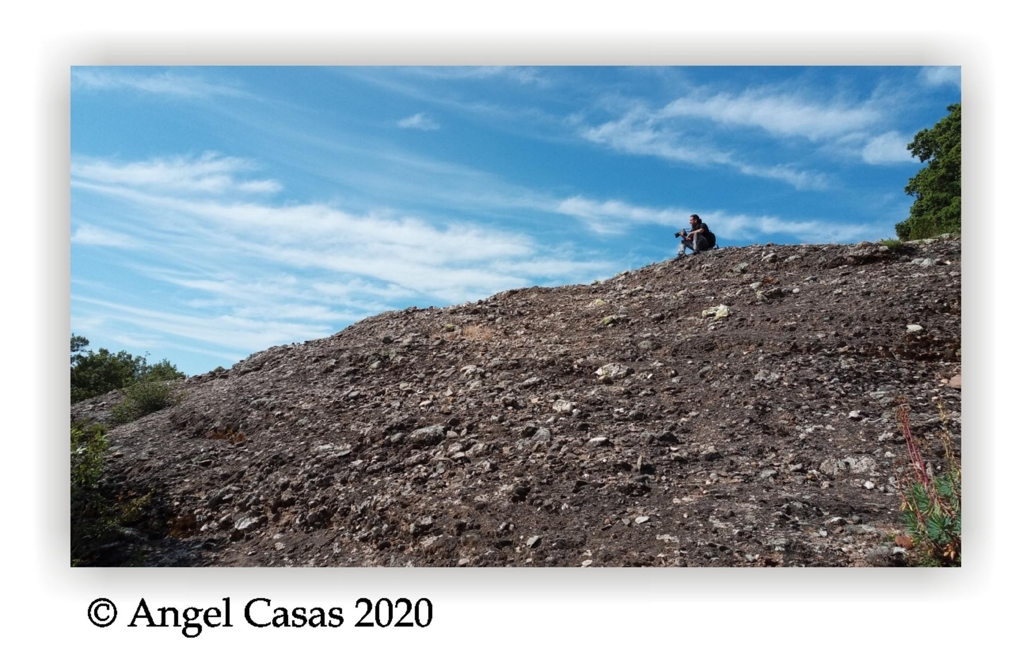  Angel Casas 2020