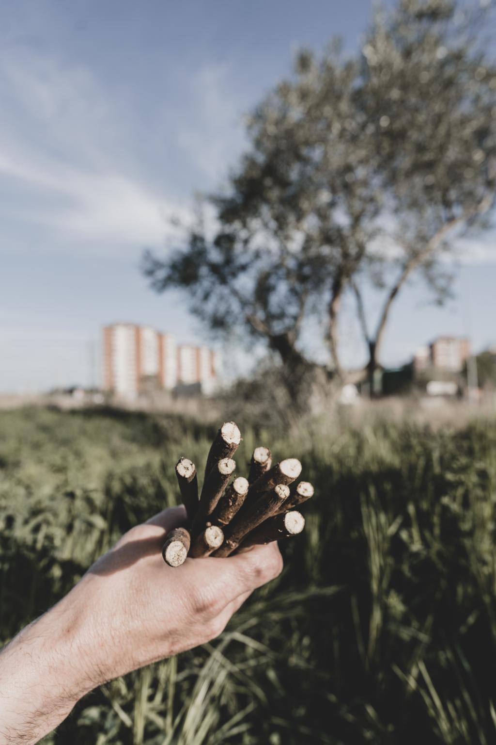 © Eva Prigo