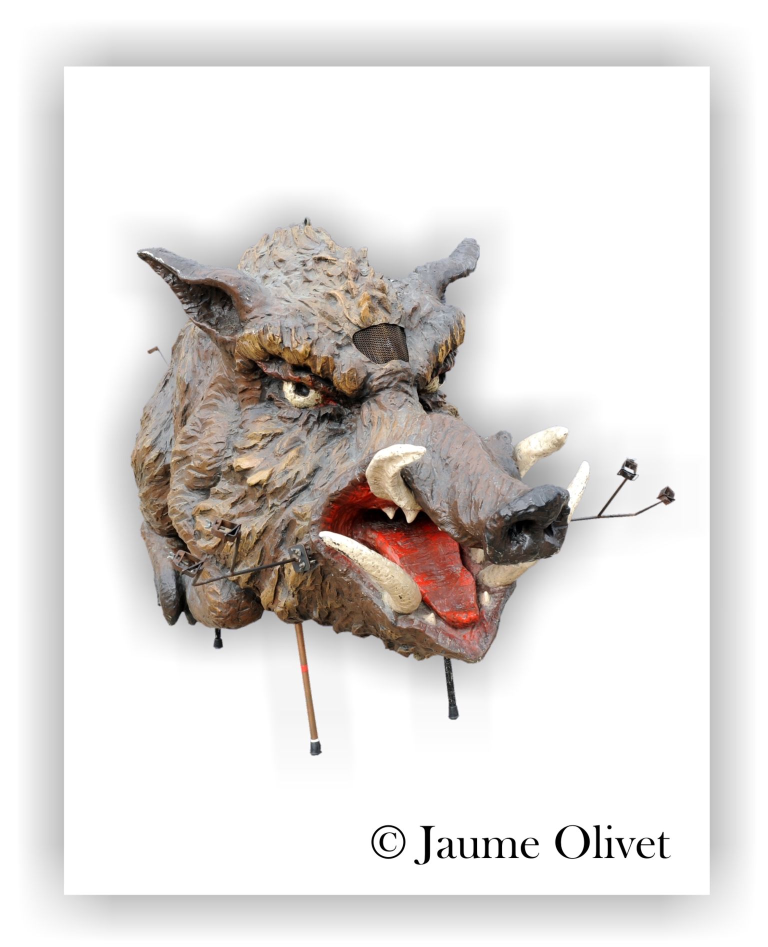 © Jaume Olivet
