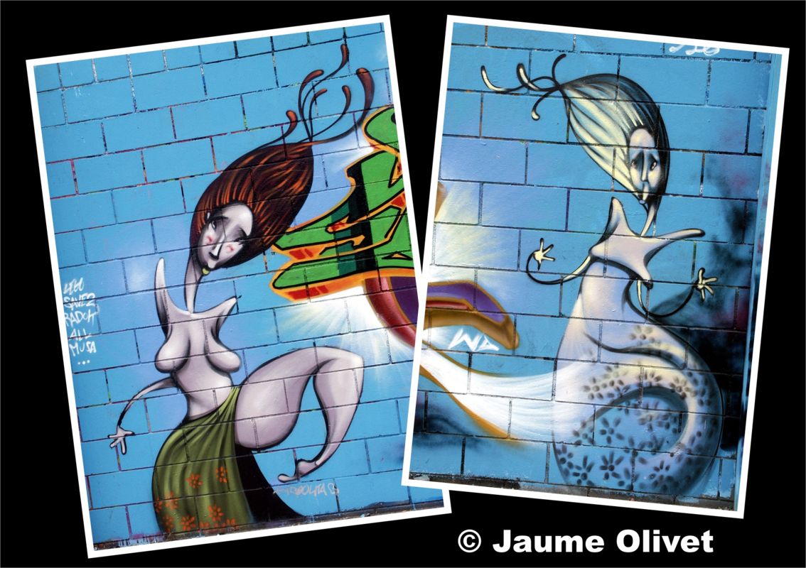 © Jaume Olivet