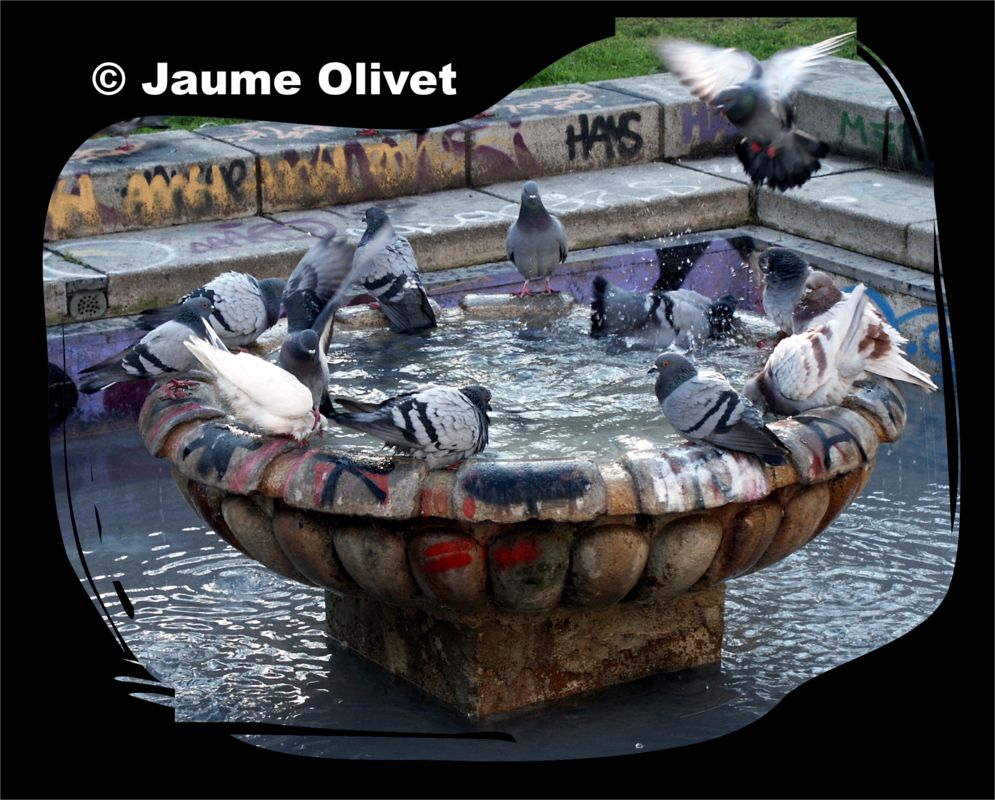 © Jaume Olivet