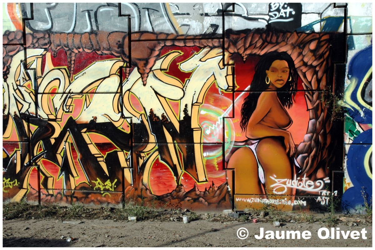 G0137 © Jaume Olivet