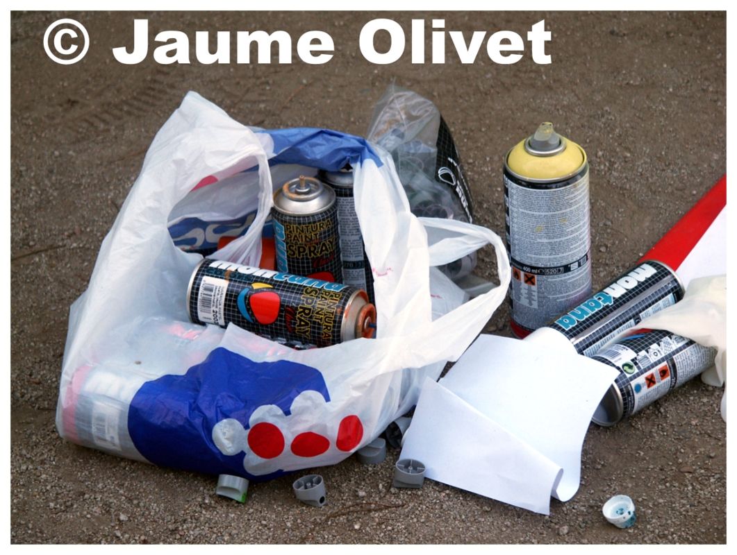 � Jaume Olivet