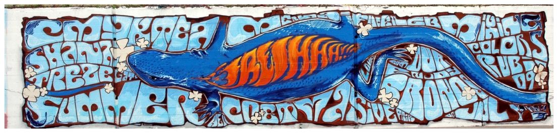 � Jaume Olivet 2009