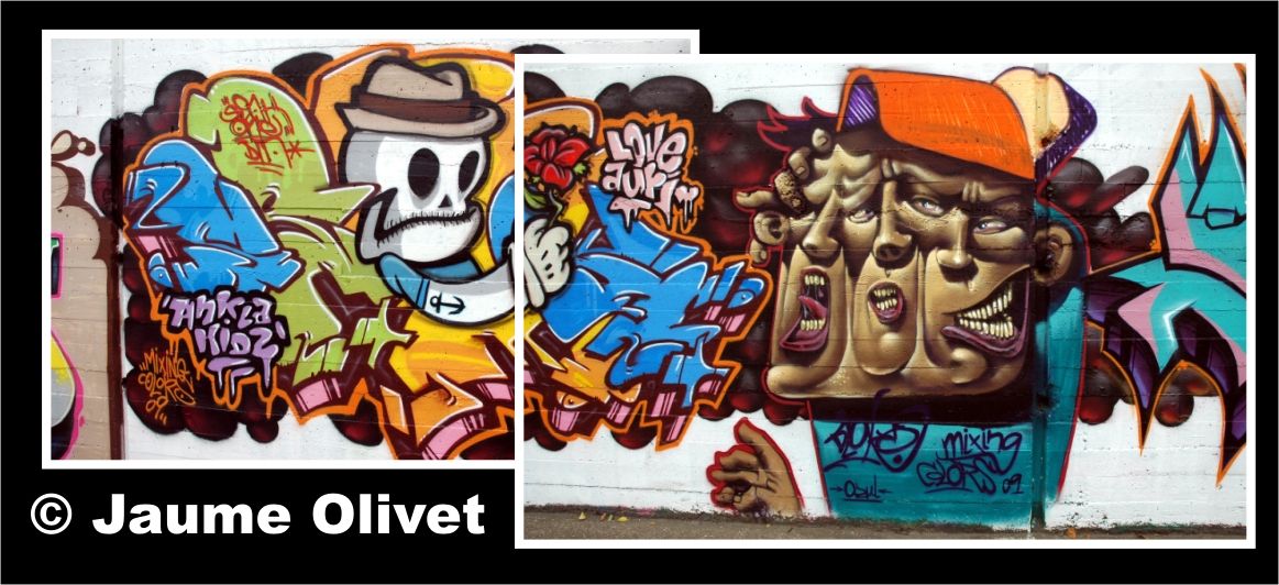 � Jaume Olivet 2009