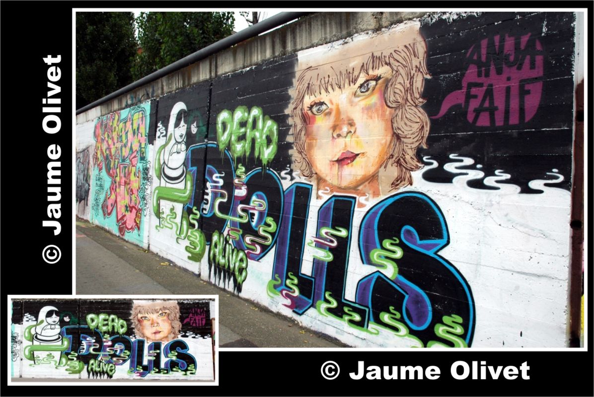 � Jaume Olivet 2009