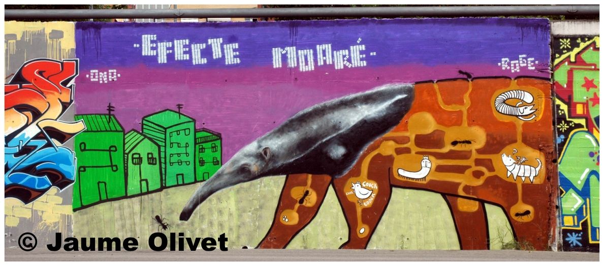 � Jaume Olivet 2009