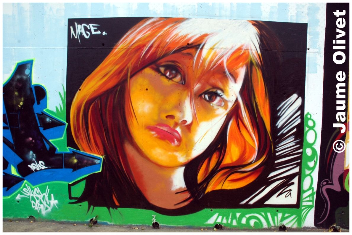 G0421 � Jaume Olivet