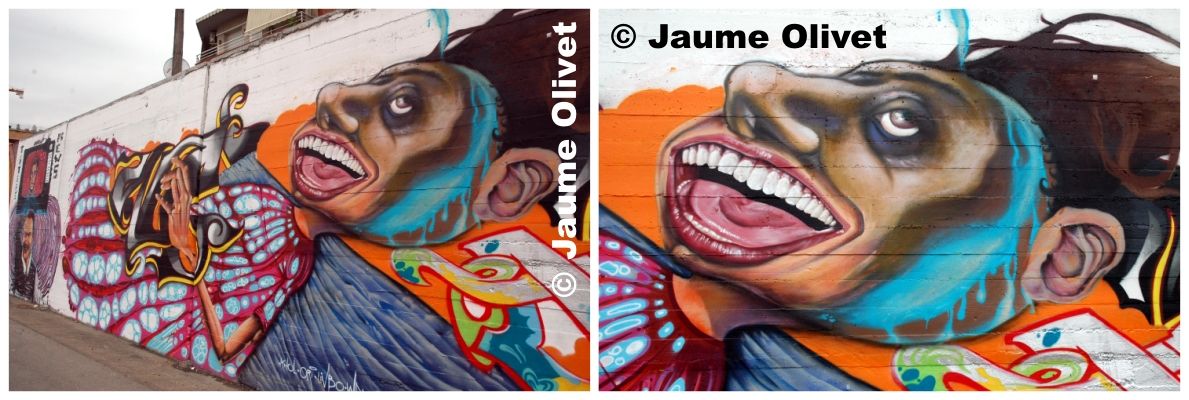 � Jaume Olivet 2009