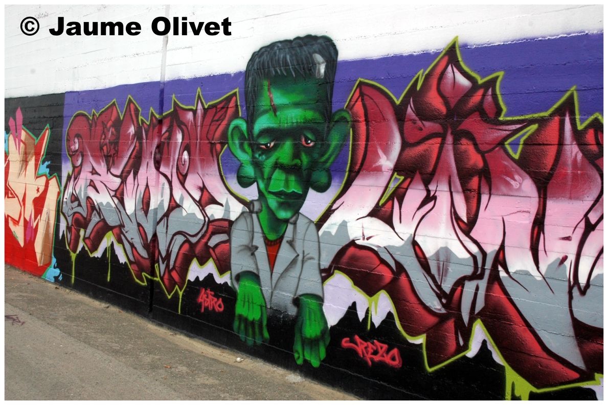 � Jaume Olivet 2009