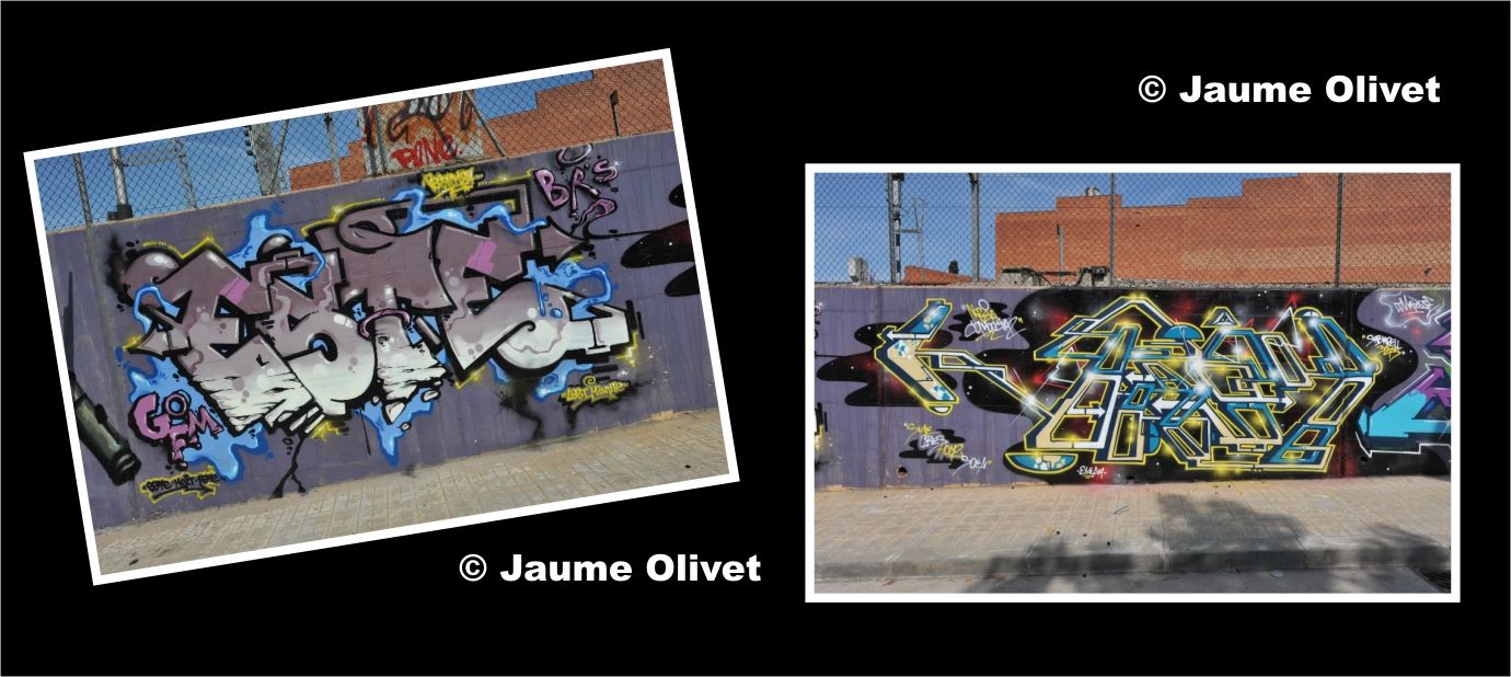 � Jaume Olivet