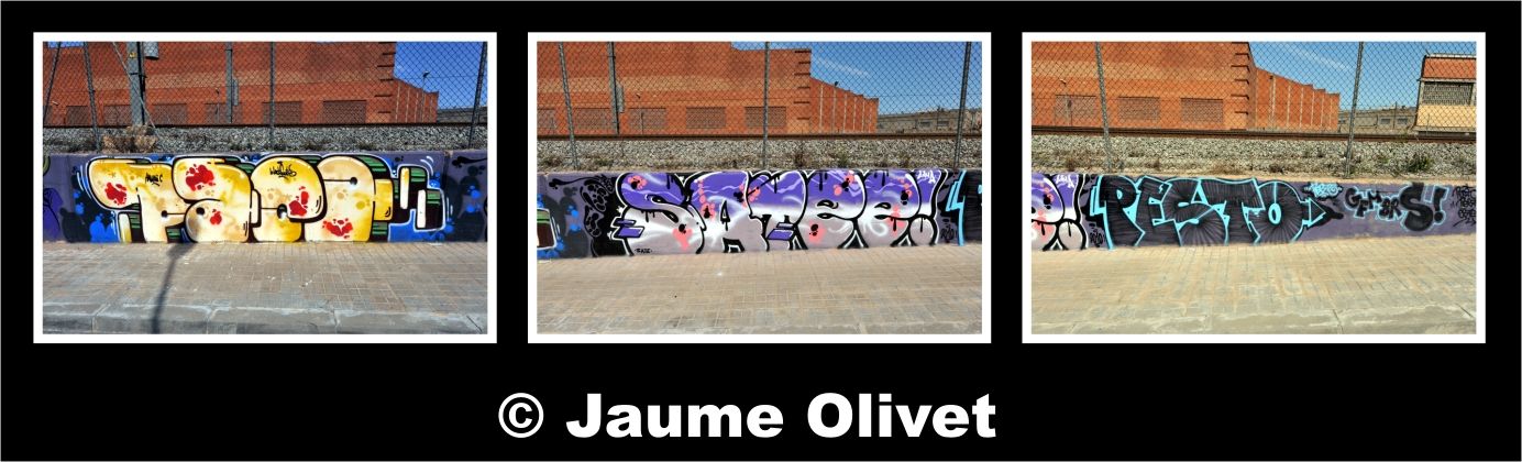 � Jaume Olivet