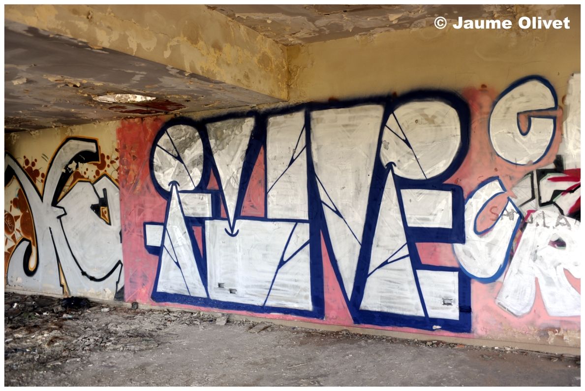 � Jaume OlivetLOGO