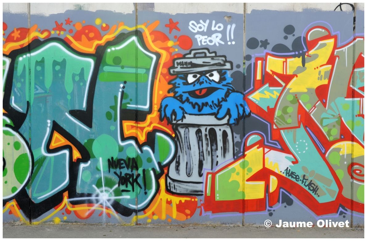 G1165 � Jaume Olivet