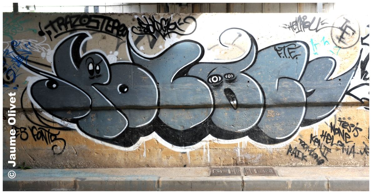 G1169 � Jaume Olivet