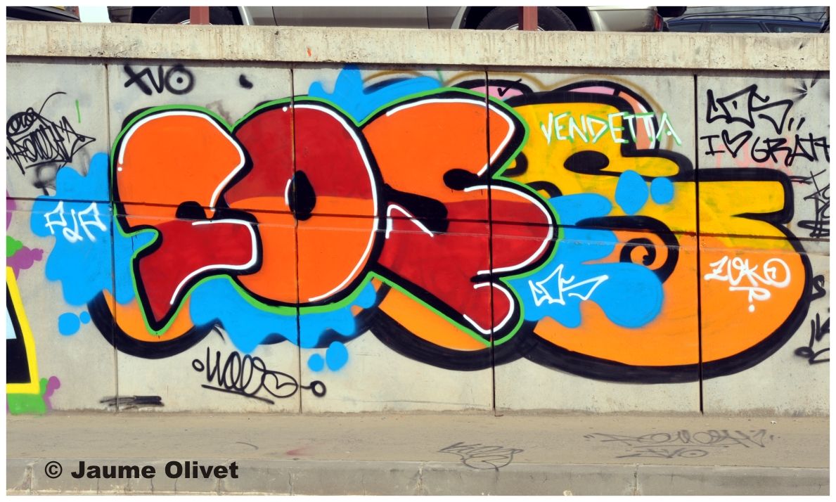 G1171 � Jaume Olivet