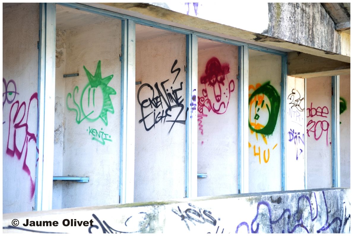 G1203 © Jaume Olivet