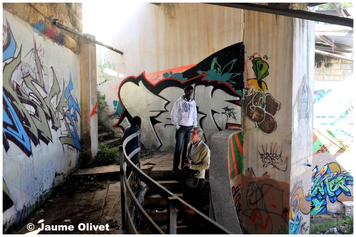 G1208 © Jaume Olivet