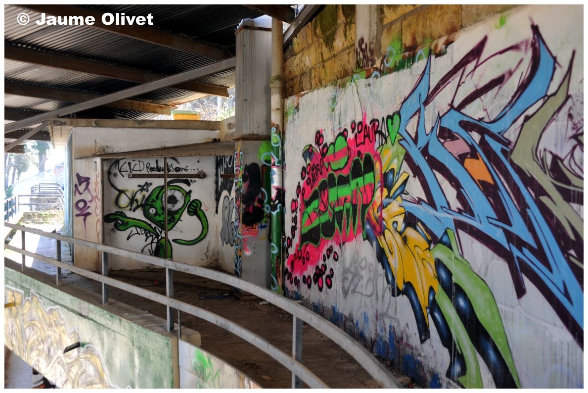 G1209 © Jaume Olivet