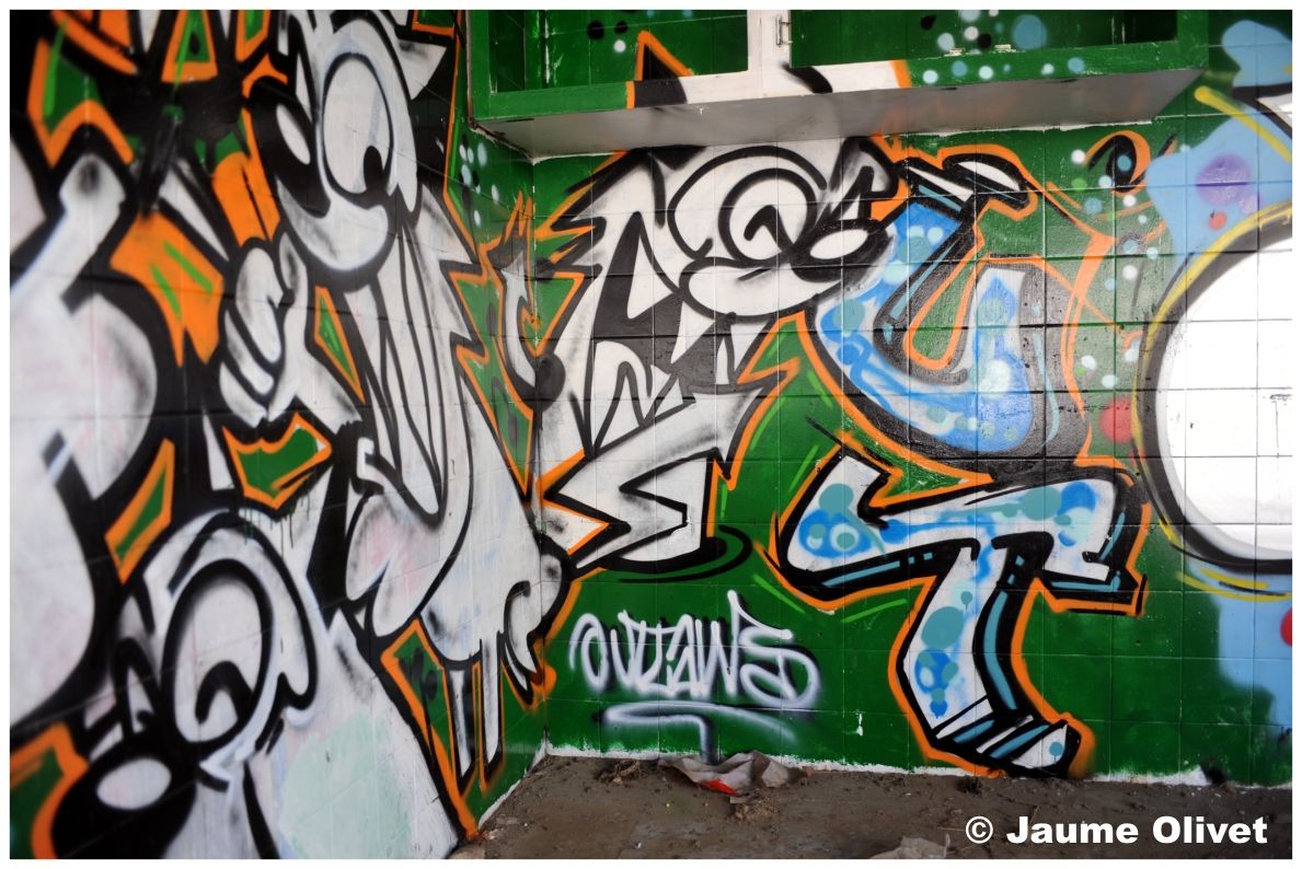 G1212 © Jaume Olivet