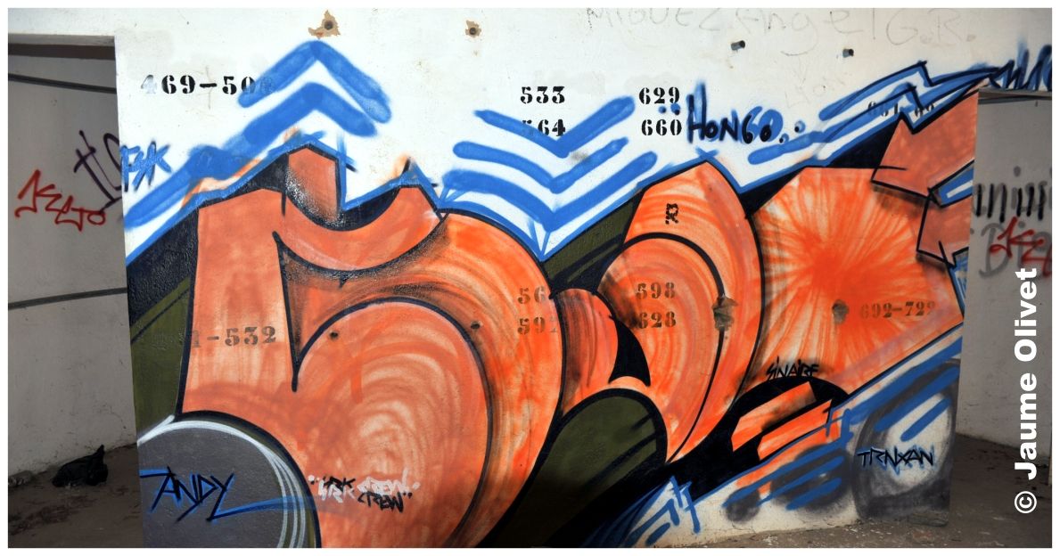 G1225 © Jaume Olivet