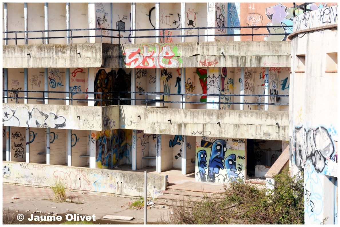 G1233 © Jaume Olivet