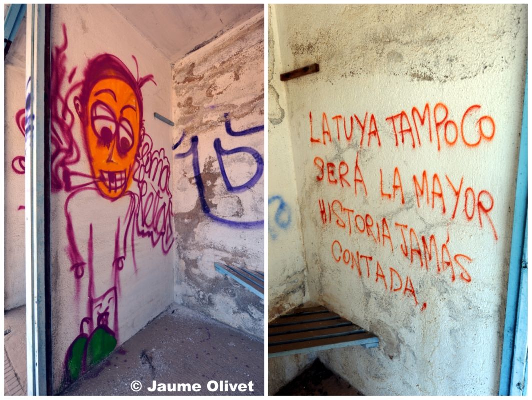 G1236 © Jaume Olivet