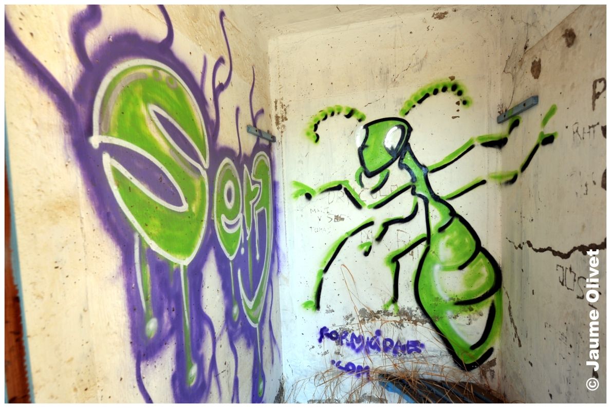 G1247 � Jaume Olivet