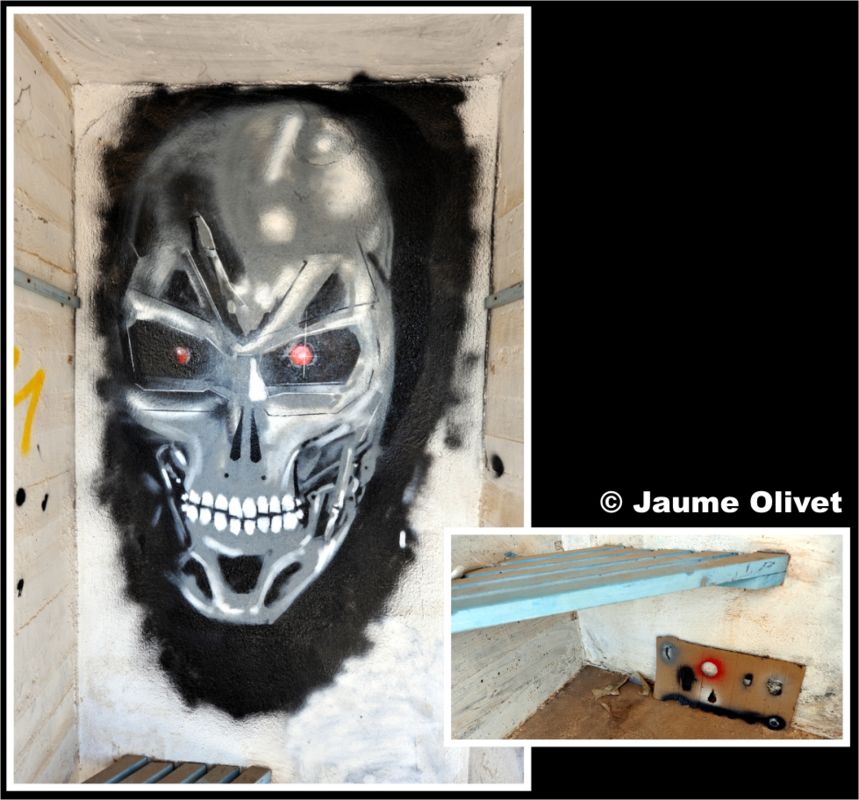 G1248 � Jaume Olivet
