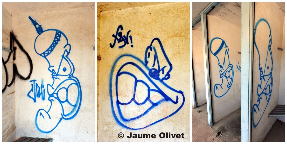 G1252 � Jaume Olivet