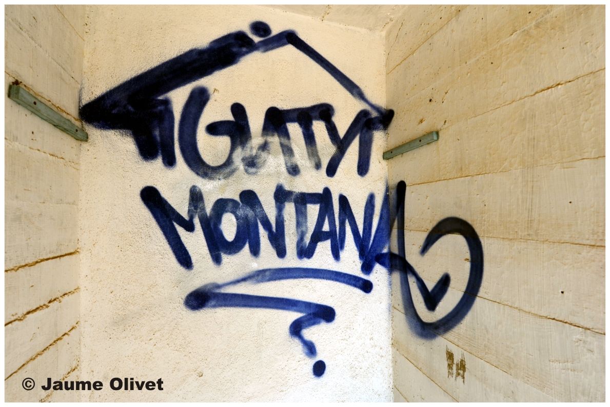 G1286 � Jaume Olivet