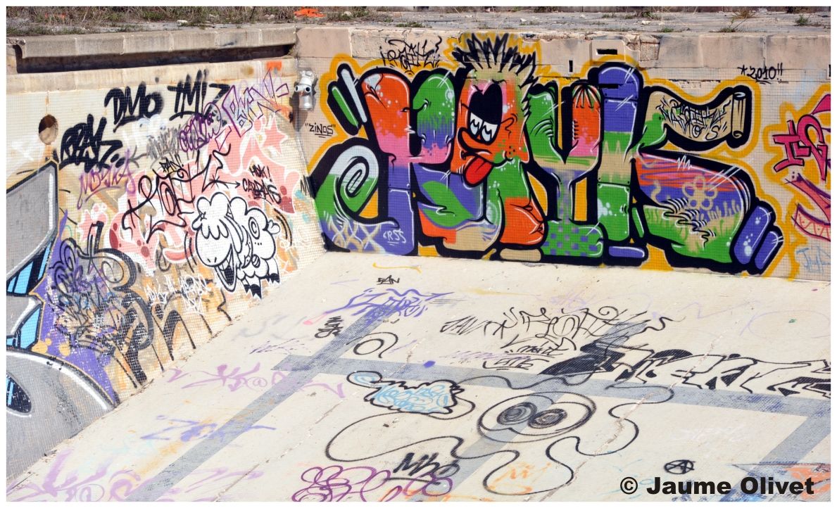 G1289 � Jaume Olivet