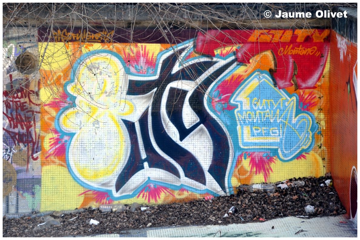 G1291 � Jaume Olivet