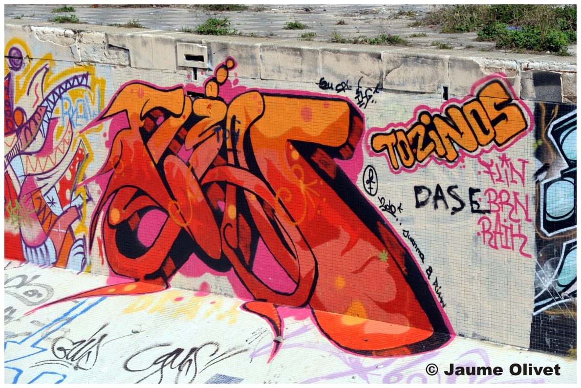 G1292 � Jaume Olivet