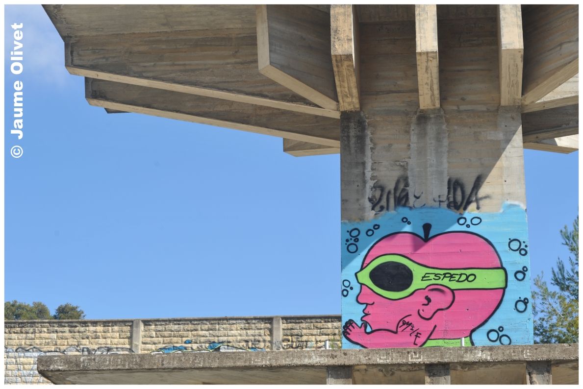 G1296 � Jaume Olivet
