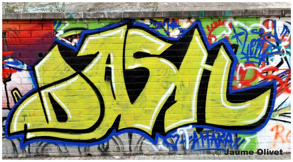 G1316 � Jaume Olivet