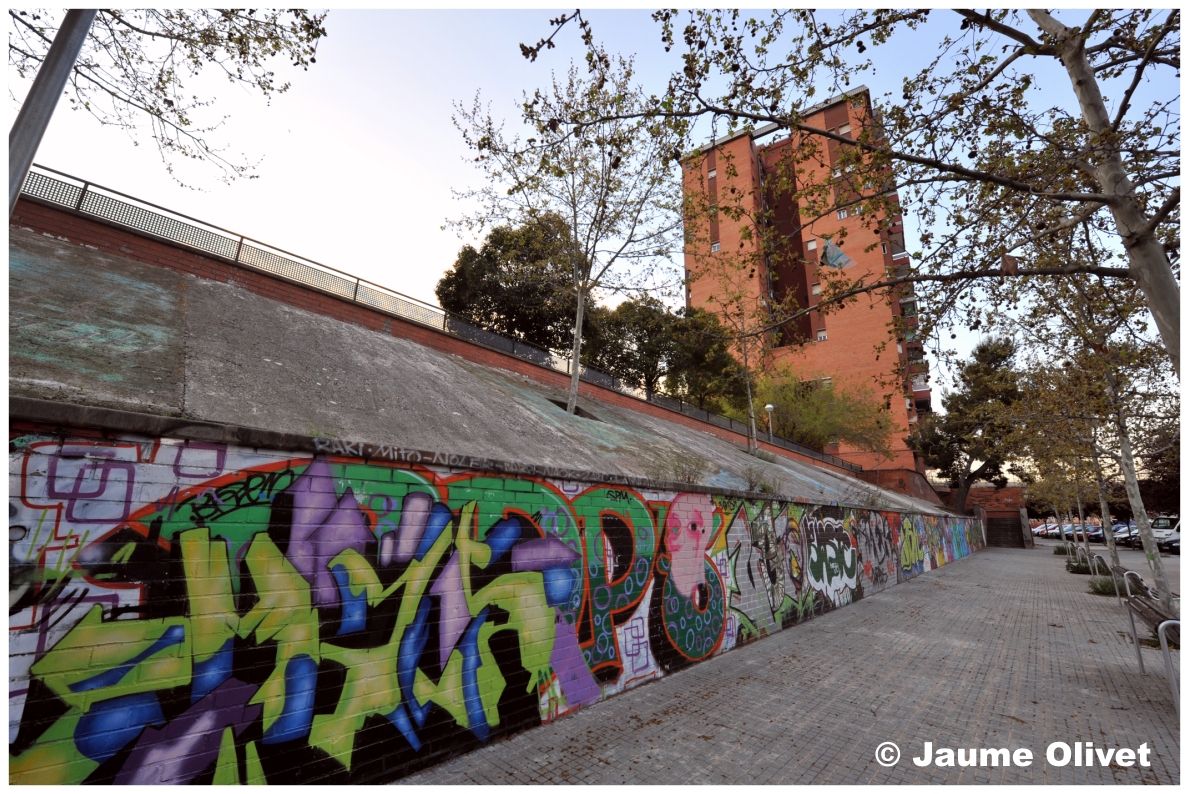 G1322 � Jaume Olivet