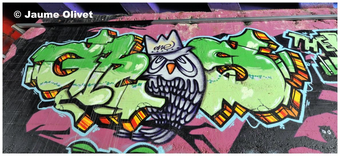 G1343 � Jaume Olivet