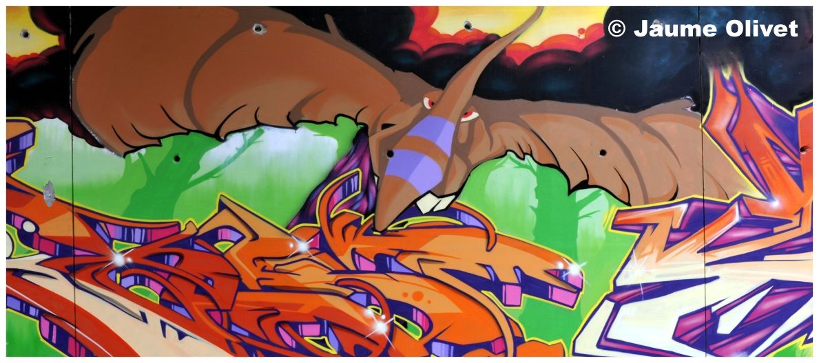 G1358 � Jaume Olivet