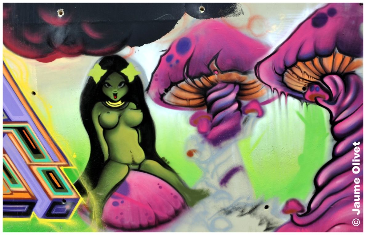 G1360 � Jaume Olivet