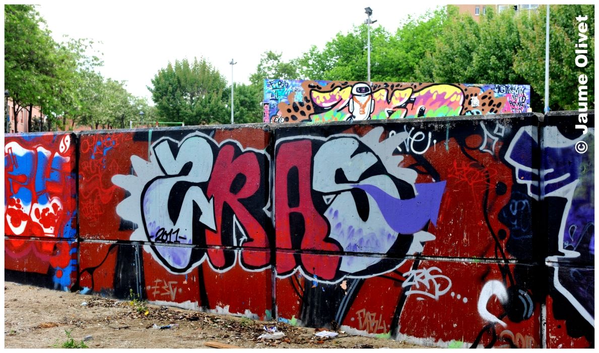 G1376 � Jaume Olivet