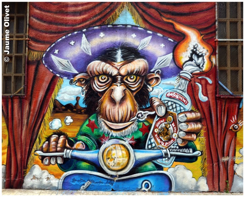 G1430 � Jaume Olivet