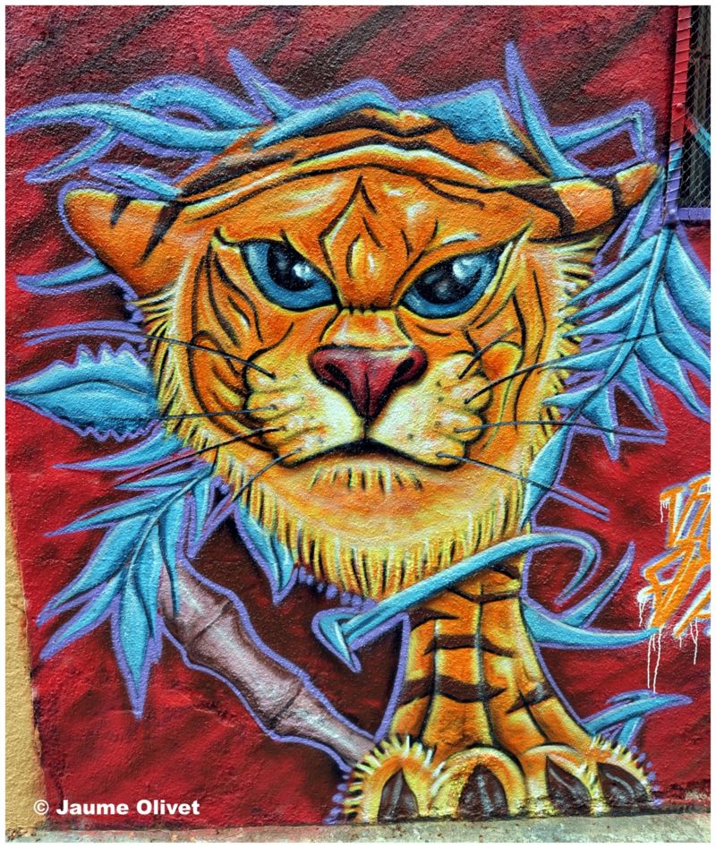 G1431 � Jaume Olivet