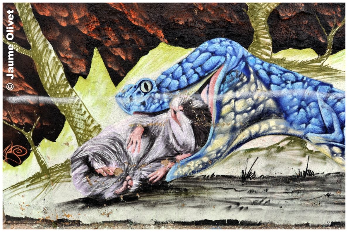 G1438 � Jaume Olivet