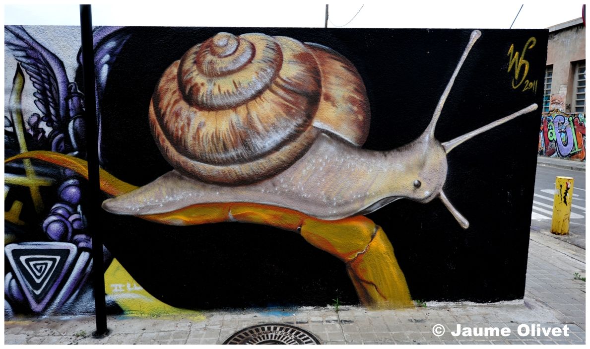 G1517 � Jaume Olivet