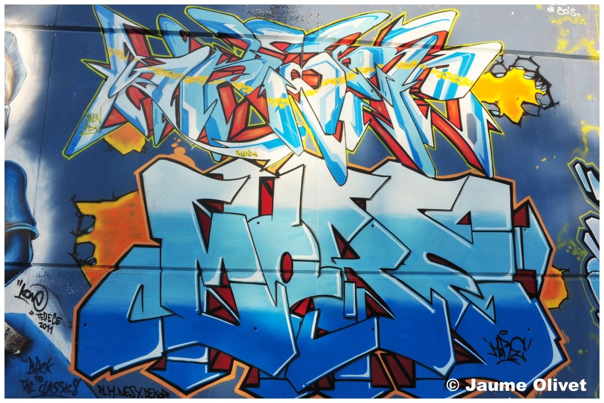 G1539 � Jaume Olivet