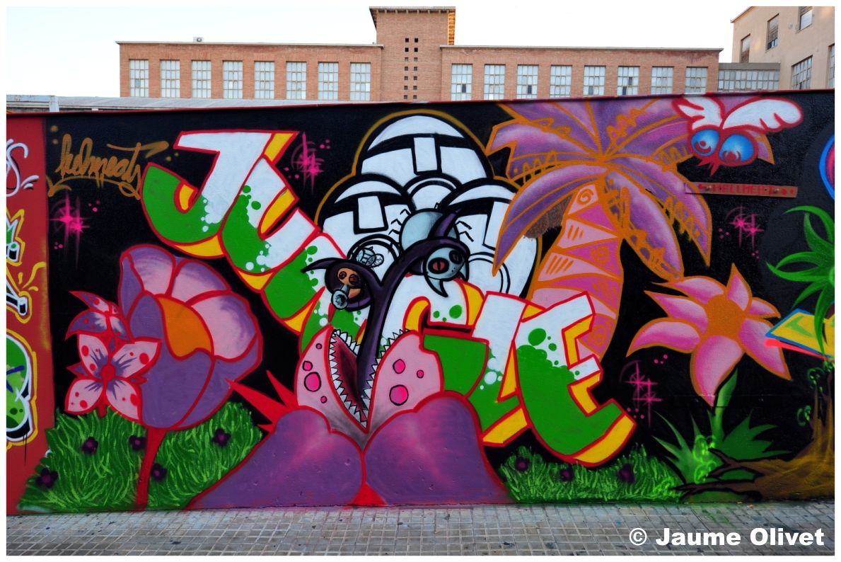 G1691 � Jaume Olivet