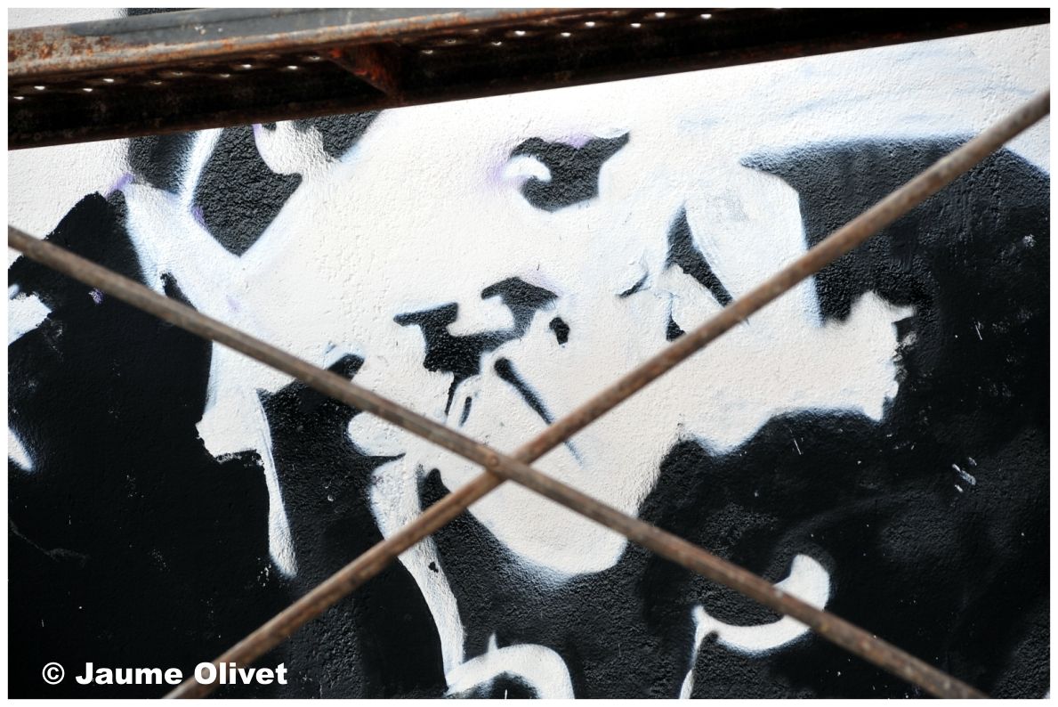 G1723 � Jaume Olivet