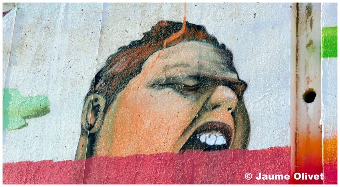 G1911 � Jaume Olivet