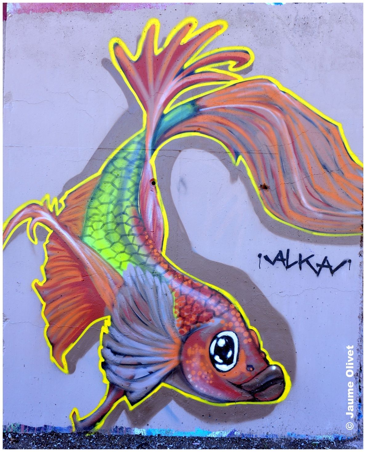 G1916 � Jaume Olivet